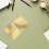 4Pièces Amulettes Argent Feng Shui Année 5