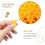 100Pièces Coupelles Matériel Apiculture Durable 10