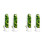 4PCS Capsule Case Fresh-Keeping Box Cup Type Food Storage Container Vegetable Preservation for Dill Coriander 1