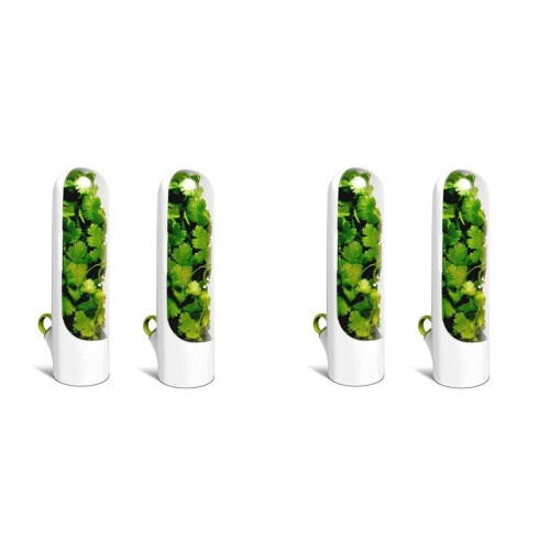 4PCS Capsule Case Fresh-Keeping Box Cup Type Food Storage Container Vegetable Preservation for Dill Coriander