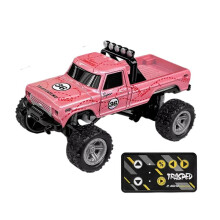 TRASPED RC Off-Road  Truck 1/64 Modello di Auto da Arrampicata Telecomandata 2.4G Veicolo Giocattolo Telecomandato Rosa