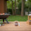 Bbq Cherry Wood Chips Natural Pellets for Smoking Meat 3