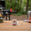 Bbq Cherry Wood Chips Natural Pellets for Smoking Meat 4