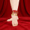 4Pièces Accessoires Costume Mousseline Pour Danse Et 5