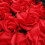 Realistic Plastic Rose Bouquet 18 Pieces 5