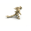 4 PCS 3D printed longtail hammerosaur skeleton model toy 3