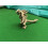4 PCS 3D printed longtail hammerosaur skeleton model toy 5