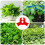 Green Plant Clip Bender 2