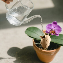 Automatic Watering Device Lazy Self-Water Drip Irrigation Indoor Flower Plant Dripper Garden Watering Tools Cute Bird