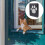 1Ensemble Porte Écran Magnétique Pour Animaux Noir Durable 5