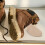 20Paare Papierpulpenschuhspanner Kinder Sneaker Boots Formschutz 6
