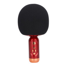 Wiederaufladbare Handmikrofon-Lautsprecher 2000mAh Bluetooth 5.0 für Kinder und Erwachsene