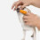 5Ensembles Dents Animaux Ergonomiques Orange Quotidiens 5
