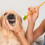 5Ensembles Dents Animaux Ergonomiques Orange Quotidiens 6
