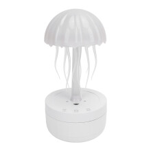 Schreibtisch-300ml-Immerleuchter mit LED-Nachtlicht & 360 rotierendem Diffusor