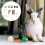 20Pcs Assorted Color Pet Hamsters Molar Bite Resistant Chew Toys 9