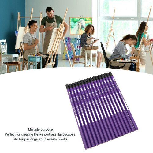 16pcs Charcoal Pencil Drawing Set for Sketching & Shading, Extra Soft 2