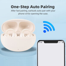 Noise Cancelling Translator Earbuds