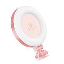 Luce LED Video Portatile Mini 48 Perle 400mAh, Ruotabile a 360, Tipo-C