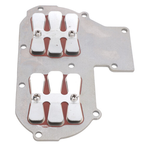 Membranventilbaugruppe Boot 30 PS 2-Takt Motor