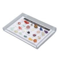 Kit di Collezione di Rocce Mineraliche per Bambini con Vetrina – Set Educativo di Scienze