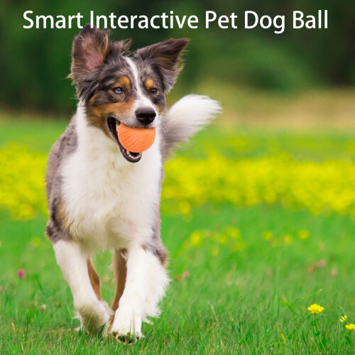 Interactive Dog Toy Ball - 60mm, 250mAh, IP54, 2 Modes 1