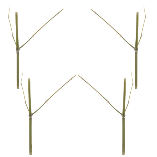12Pièces Accessoires Bambou Fixation Support Stable Pour Vase 2