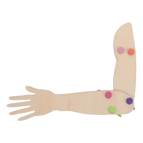 Articulé Bras En Bois Caoutchouc Pour Classe