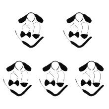 5Ensembles Bandeaux Oreilles Queue Et Nez Faux