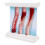 Dynamic Blood Vessel Model Cardiovascular Blockage Contrast Model Thrombosis Model for Teaching Explanation 3