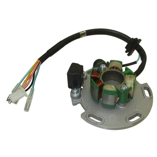 150cc Magneto Stator Rotor Flywheel for Daytona 150 190 Engine Motor 2
