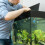 Blue Betta Fish Toy Acrylic Interactive Fish Tank Training Wand 5
