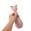 Urne Animale Céramique Petit Format Pour Souvenir Chat 4