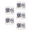 250Pcs Versatile Picture Hanging Nails Kit for Photo Frames Wall Mount 6
