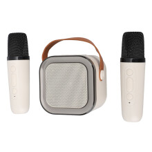 Tragbarer Bluetooth-Karaoke-Lautsprecher mit 2 Mikrofonen, 1000mAh Akku, Aprikosenfarbe