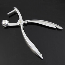 Dispositif a noyau en argent en aluminium pour Cerise,olive, fruits largeur 18*3.5cm