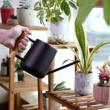 Stainless Steel & Wood Watering Can, 465g, Black, 16.4cm Spout