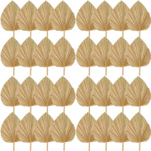 32PCS Dried Leaves Decorations Trimmed Dried Spear Fans Tropical Dried Wedding Flowers Boho Wedding Decor