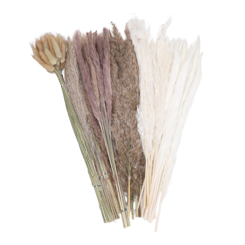 110 Stem Dried Pampas Grass for Wedding