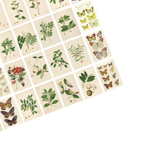 Plant Scrapbook Sticker Sheet 50 Sheets Art Paper 2