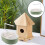 Perroquet Coloré Double Douche Pour Cage 8