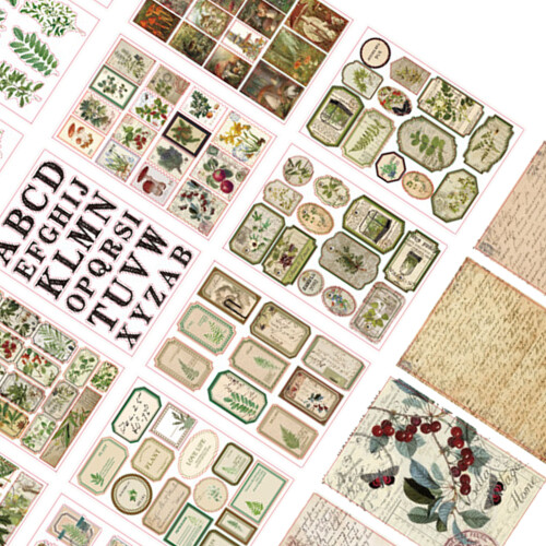 20-Sheet Vintage Scrapbook Stickers 130g Leaf 2