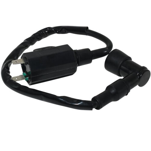 Starting Engine Ignition Coil 21121-1160 21121-1198 for   ATVs 2