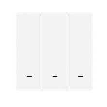 Tuya Matter WiFi EU Version Button Light Work with Alexa/ Home/ Home/Smartthings C