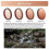 Lens Filter for  OSMO Action 5 Pro/4/3 ND/PL Light Reducing Polarising Filter Camera Accessories ND64/PL 5