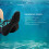 3mm Neoprene Diving Socks Blue 1