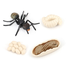Simulation Ameisen Tier Lebens Zyklus, Insekten Wachstums Zyklus Modell Leben Action Figuren PäDagogisches Kinder Spielzeug Schwarze Ameisen