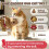 Cat Wrestling Glove, Cats Puppet Wrestler with  Padding for Safe Interactive , for Boredom Busting Training 2