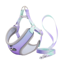 Conjunto de ArnêS e Trela para Gatos à Prova de Fuga, Malha AjustáVel, Colete para CãEs, Filhotes, Animais de EstimaçãO, Trela de Chumbo (A), M