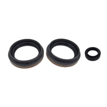 DPS6 6DCT250 Automatikgetriebe-Reparatursatz (Klein) für Focus, Fiesta, EcoSport - Autozubehör